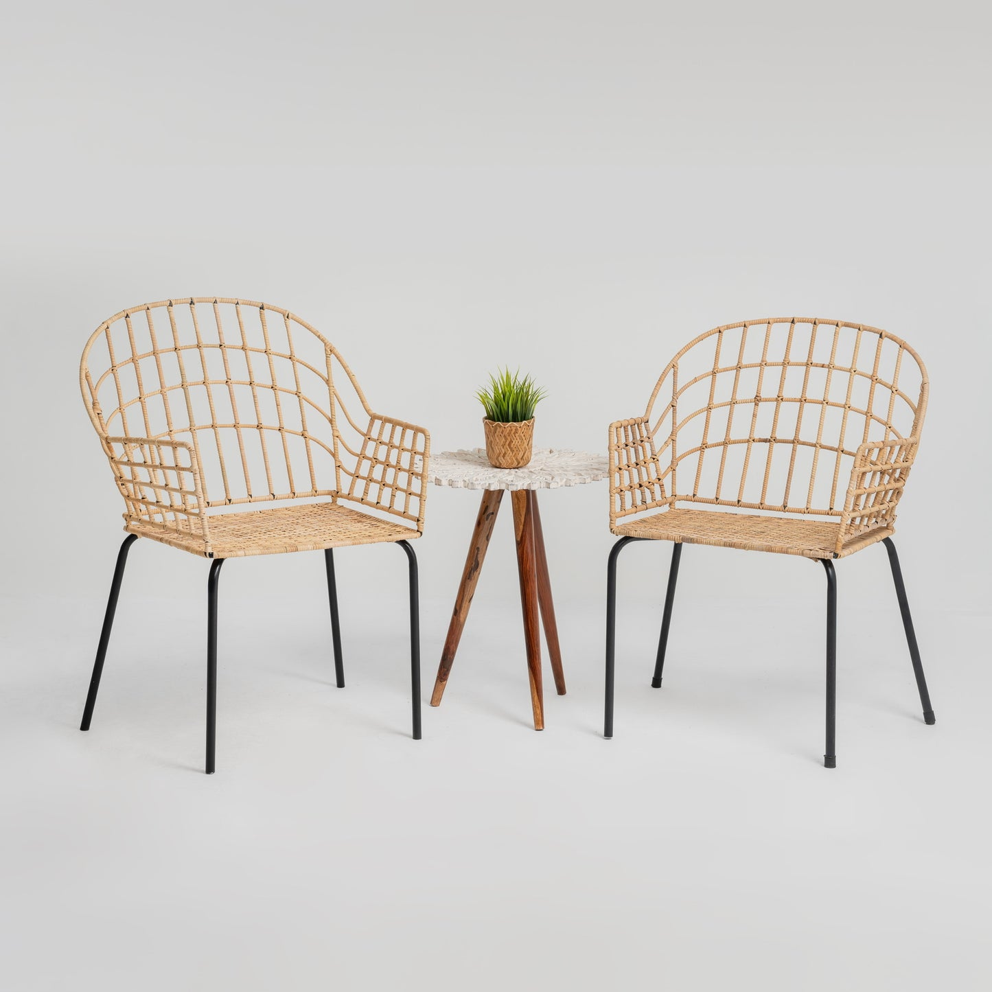 Biscotti Chairs
