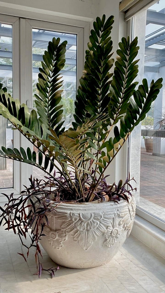 Bali Lotus Planter